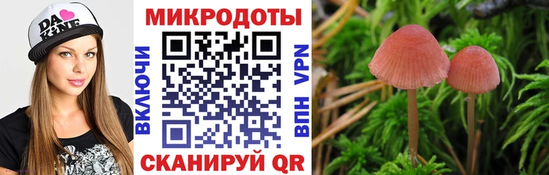 где можно купить наркотик  Улан-Удэ  Псилоцибиновые грибы Cubensis 