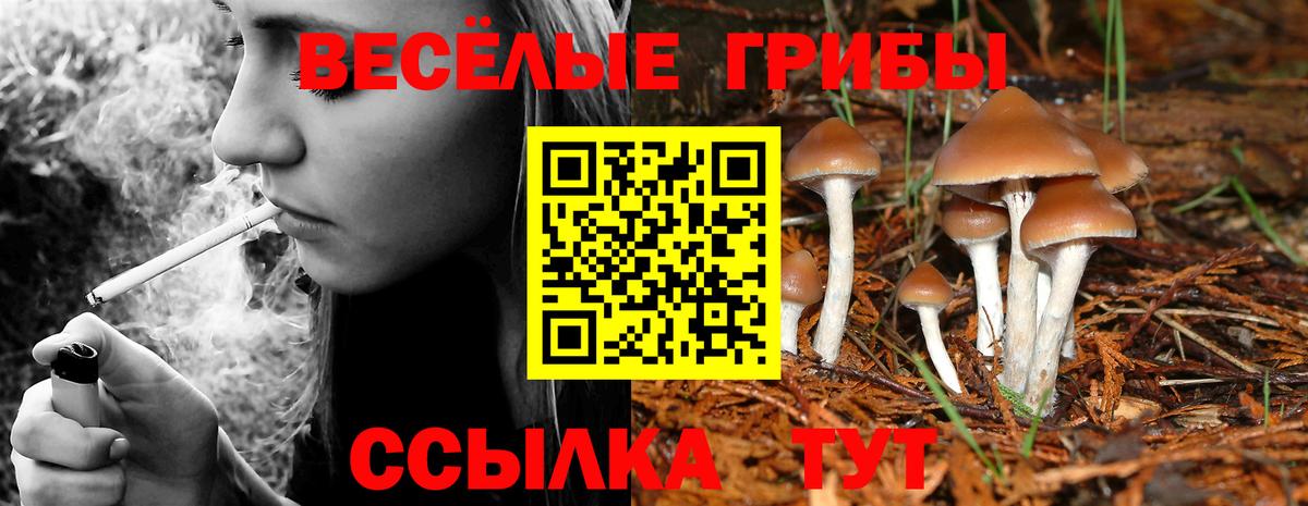 Псилоцибиновые грибы мицелий  Галлюциногенные грибы GOLDEN TEACHER  Улан-Удэ  Вход с VPN 